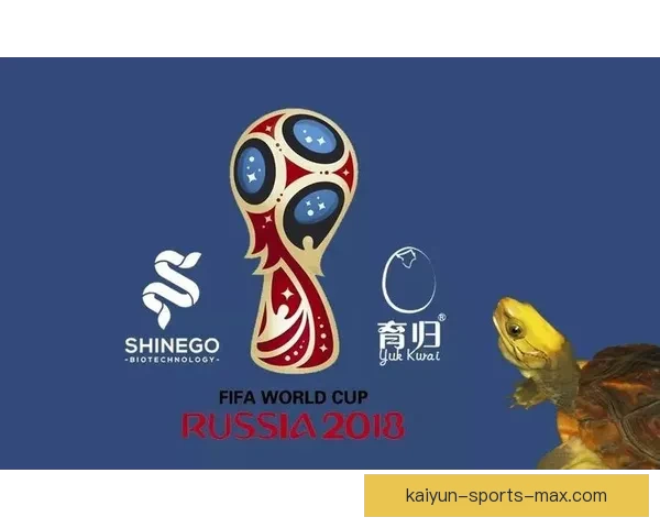 世界杯竞猜游戏规则全解析与趣味参与攻略指南