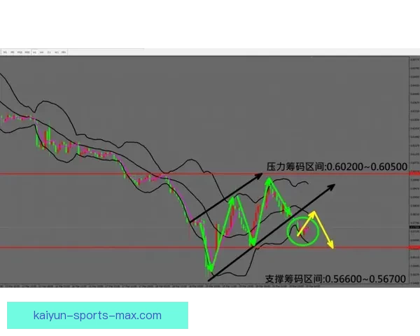 聚焦2026世界杯赔率走势深度解析与冠军热门球队前景全面观察
